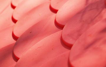 Polton plastic roof costs