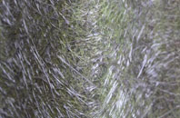 Polton fibreglass roof work